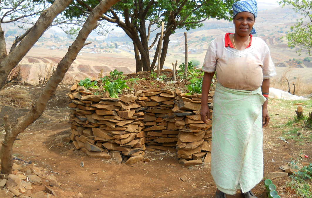 How Keyhole Gardens Are Helping the Battle Against HIV/AIDS