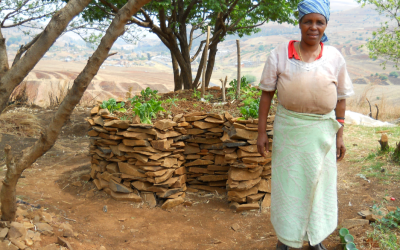 How Keyhole Gardens Are Helping the Battle Against HIV/AIDS