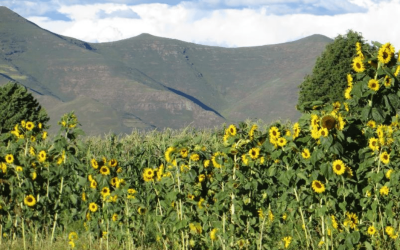 Five Beautiful Things about Lesotho