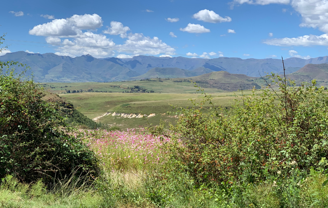 2021 #2: Peg’s Letter ‘from’ Lesotho (#132)